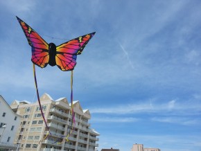 butterfly kite